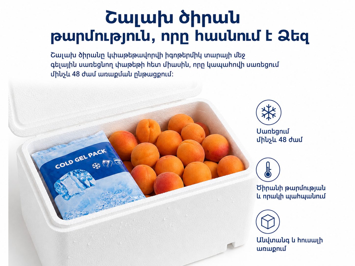 Հատուկ իզոթերմիկ փաթեթավորում