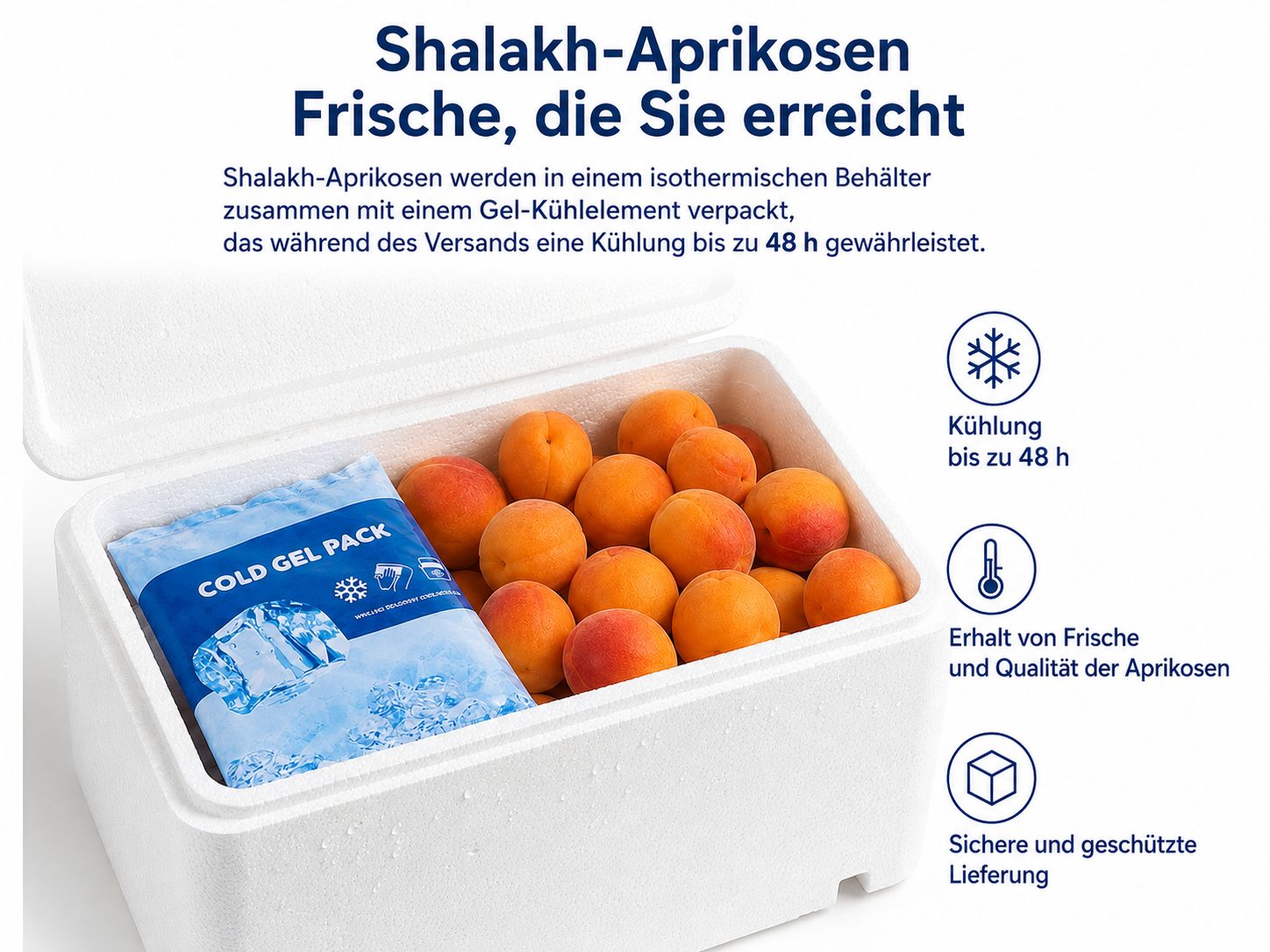 Spezielle Isolierverpackung