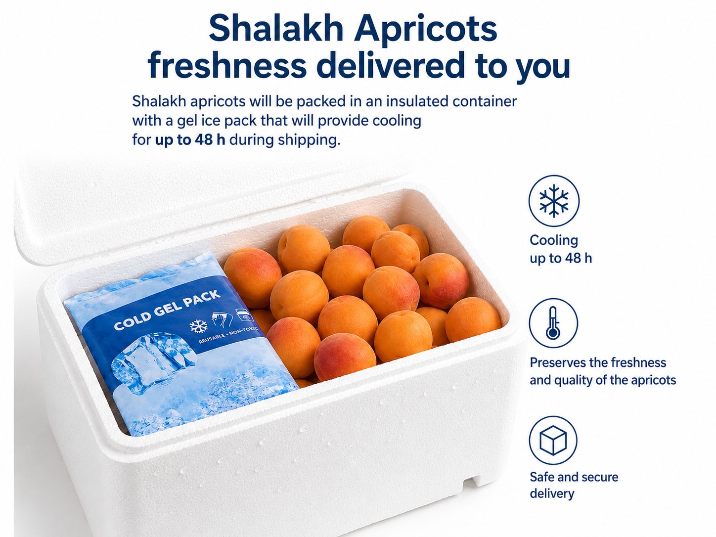 Special insulated packaging